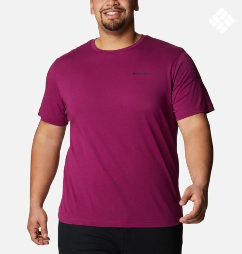 Men's Columbia Thistletown Hills Short Sleeve T Shirts Fuchsia | Plus Size CA-YL684